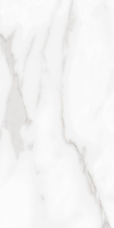 Carenza Bianca Polished 12 x 24